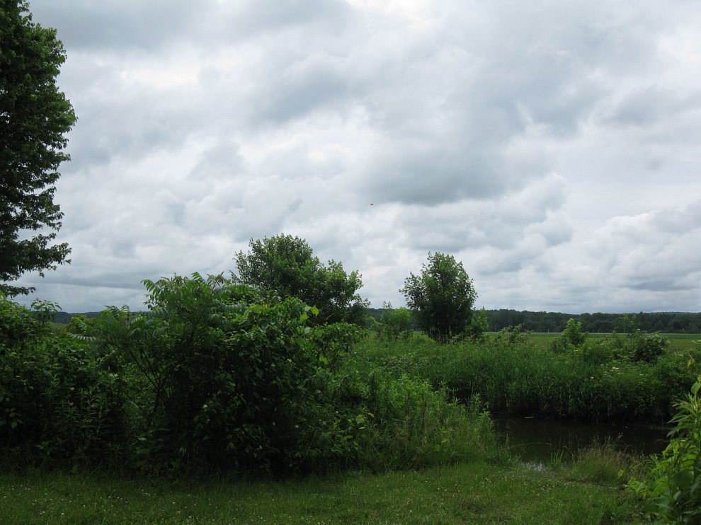 CritterPath 038.jpg
